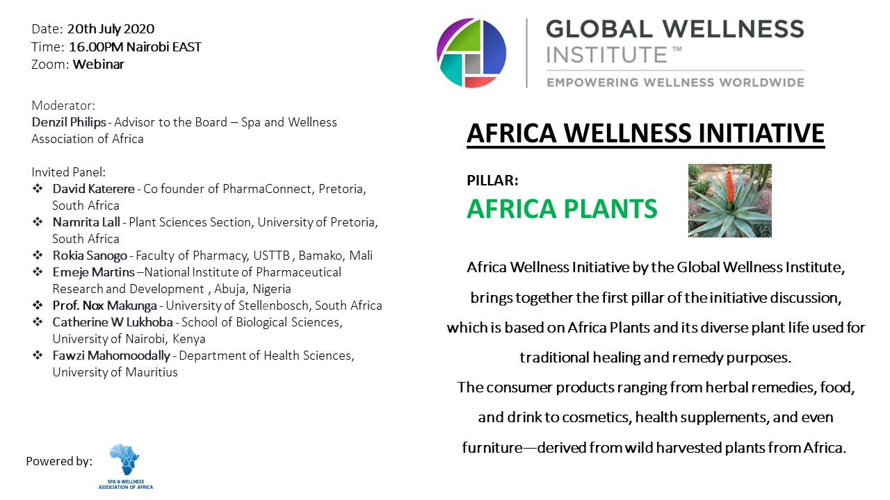 You are currently viewing Africa Wellness Initiative